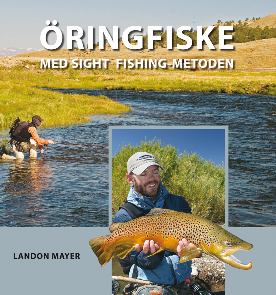 ÖRINGFISKE med Sight Fishing-metoden
